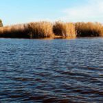 Parque Natural la Albufera de Valencia