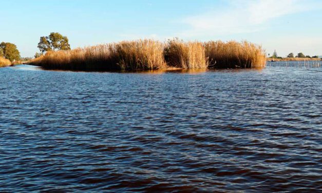 Parque Natural la Albufera de Valencia