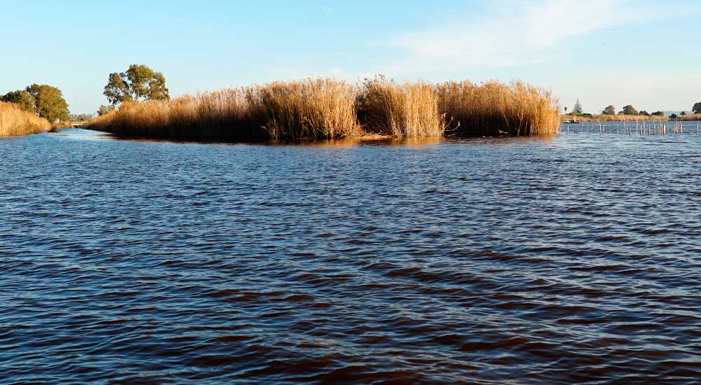 Parque Natural la Albufera de Valencia