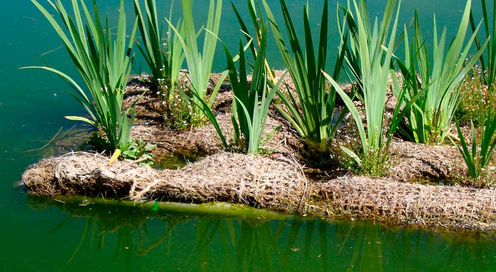 Colchones orgánicos flotantes