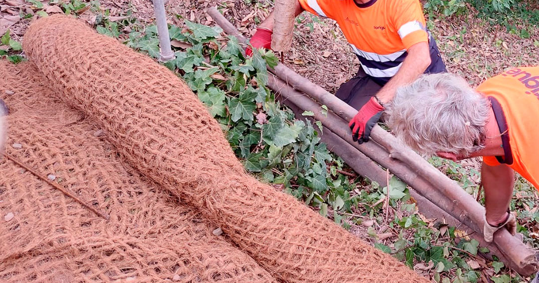 Cursos prácticos de técnicas de conservación del bosque