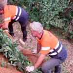 Cursos prácticos de técnicas de conservación del bosque