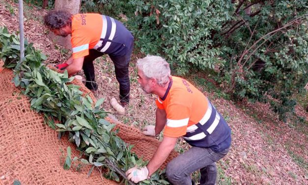 Cursos prácticos de técnicas de conservación del bosque