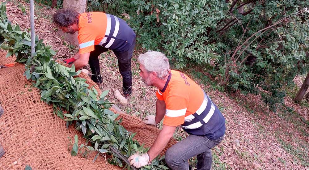 Cursos prácticos de técnicas de conservación del bosque