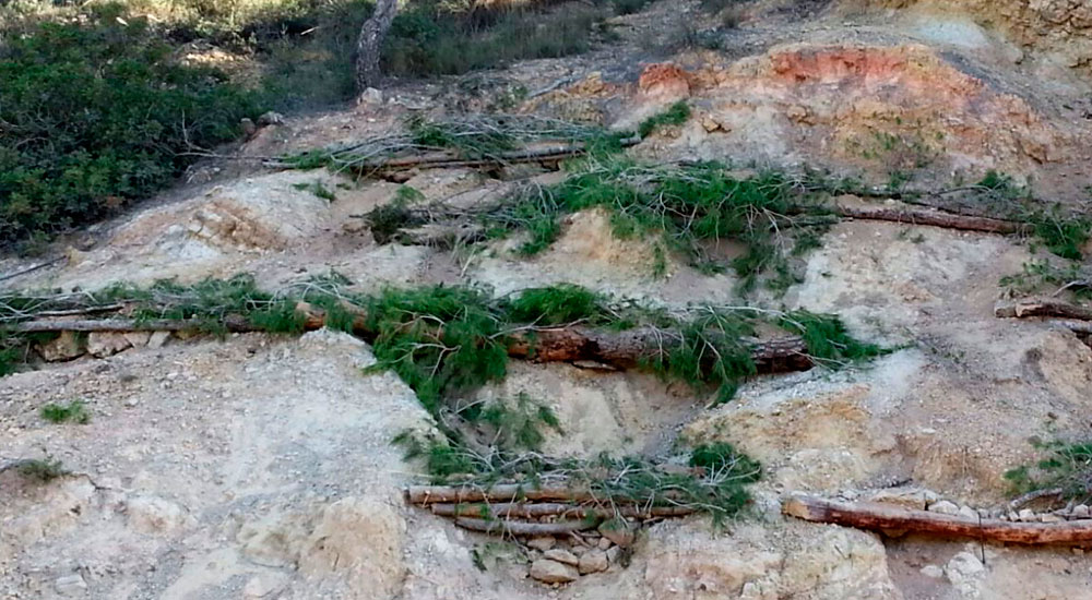 Fajinas forestales para control de erosión del suelo